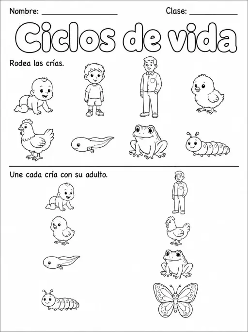 1.º grado - cuerpo humano y salud - Paquete de fichas - Conjunto 3