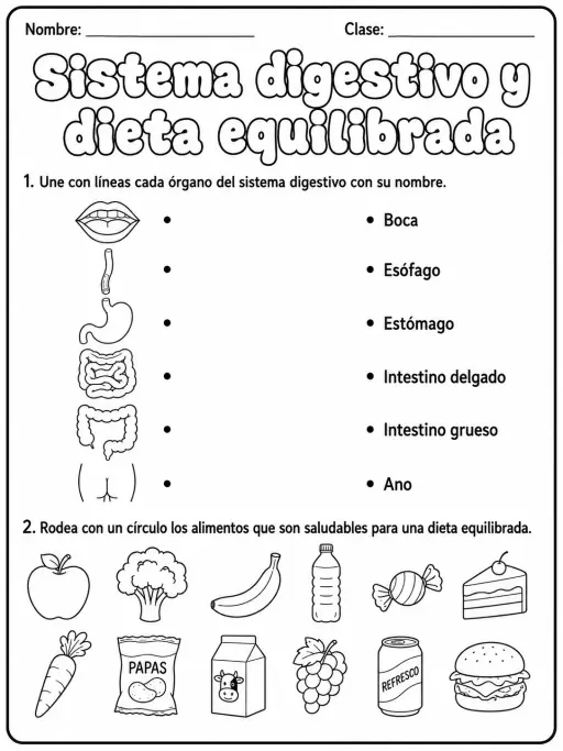 1.º grado - cuerpo humano y salud - Paquete de fichas - Conjunto 2