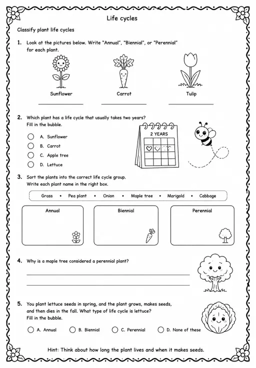 Classify plant life cycles