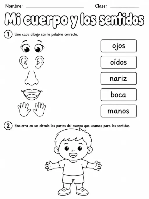 3.º grado - cuerpo humano y salud - Paquete de fichas - Conjunto 2