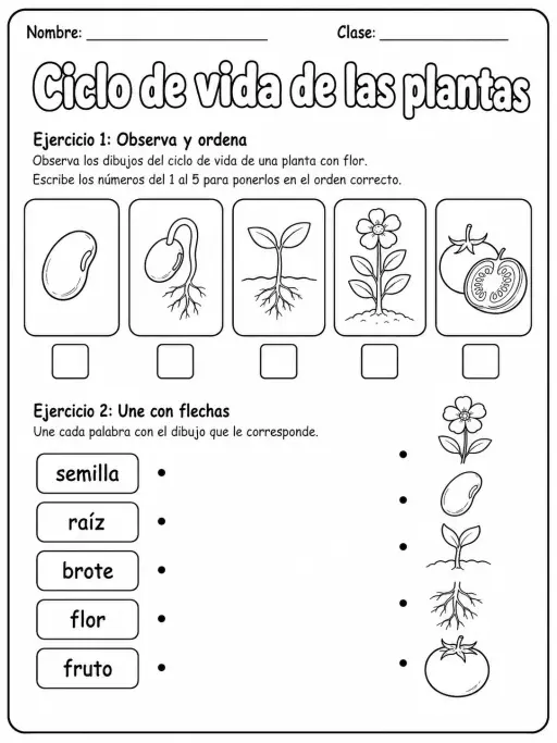 5.º grado - plantas - Paquete de fichas
