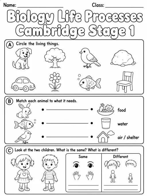Biology Life Processes Cambridge Stage 1