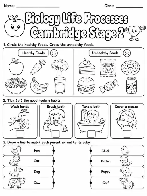 Biology Life Processes Cambridge Stage 2