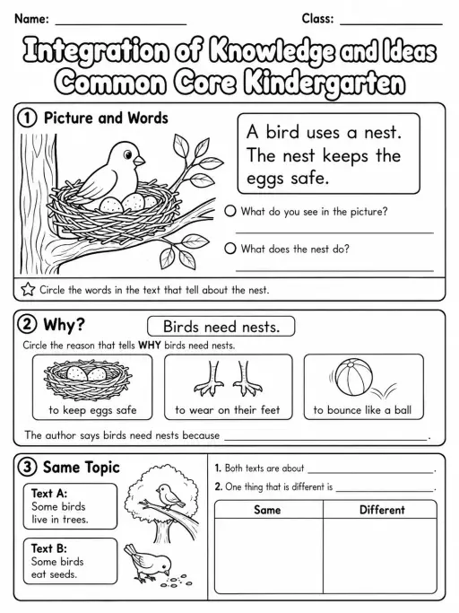 Integration of Knowledge and Ideas Common Core Kindergarten