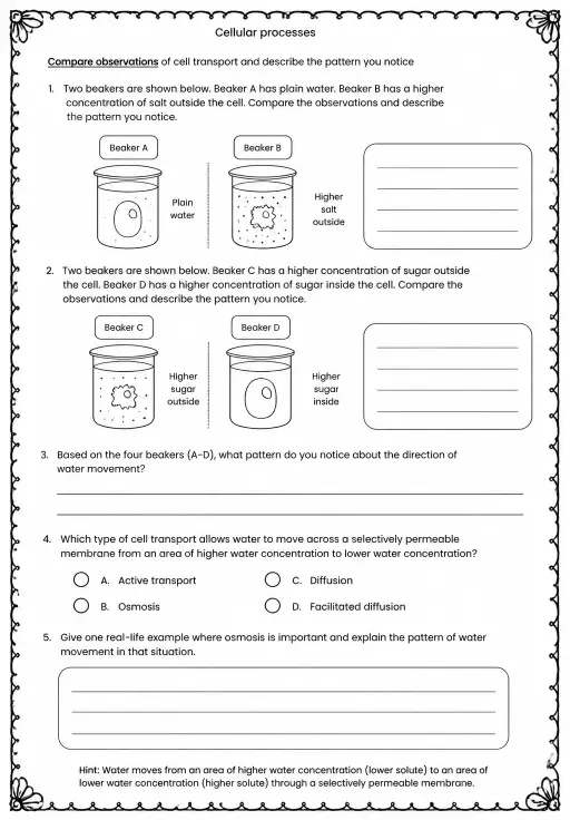 Compare observations of cell transport and describe the pattern you notice