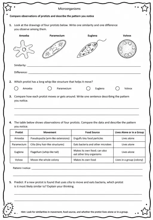Compare observations of protists and describe the pattern you notice