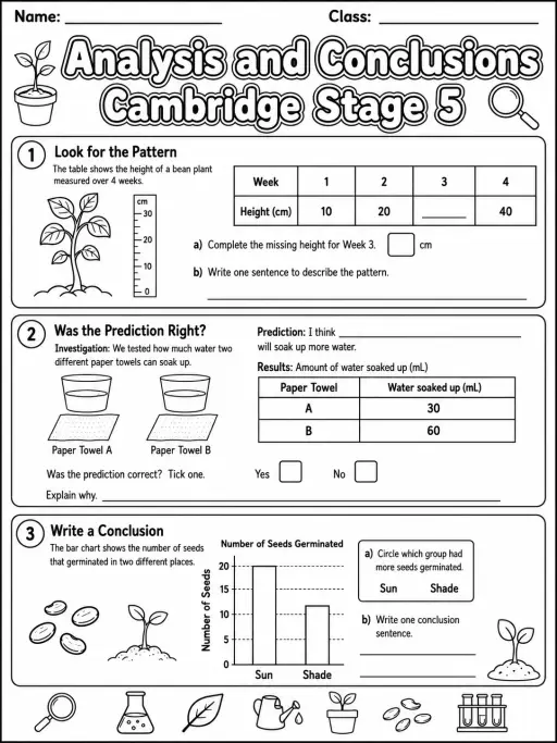 Analysis and Conclusions Cambridge Stage 5