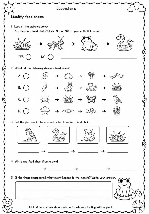 Identify food chains