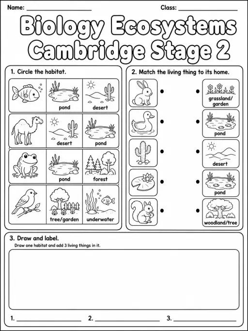 Biology Ecosystems Cambridge Stage 2