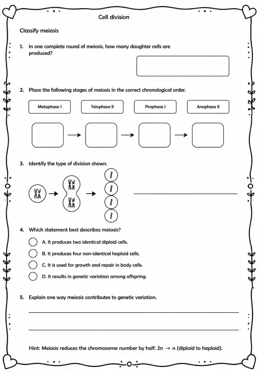 Classify meiosis