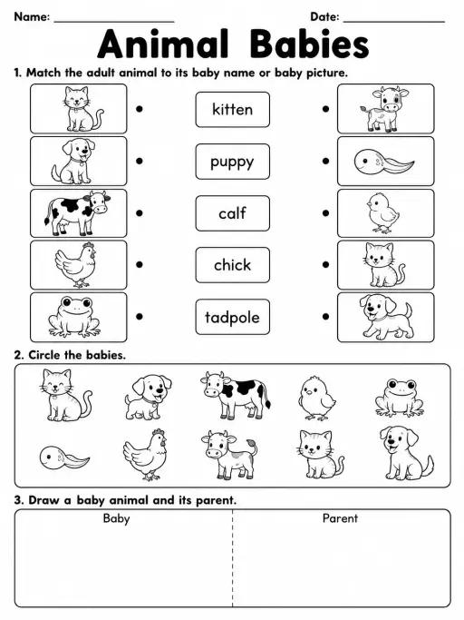 Animal Babies