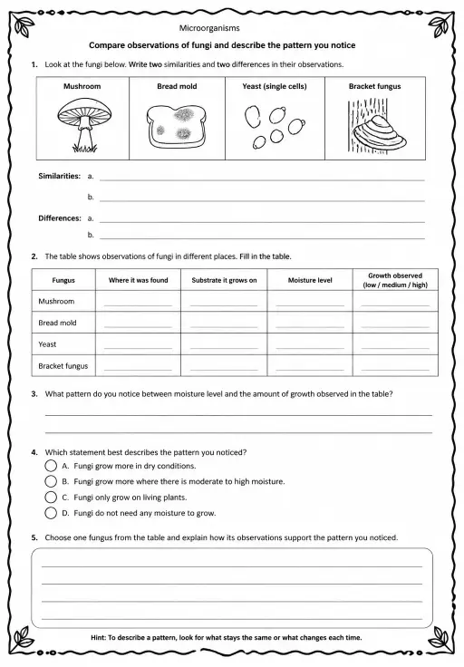 Compare observations of fungi and describe the pattern you notice