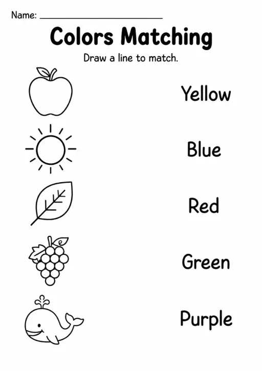 Colors Matching — Grade 1