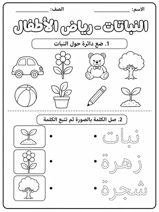النباتات - رياض الأطفال