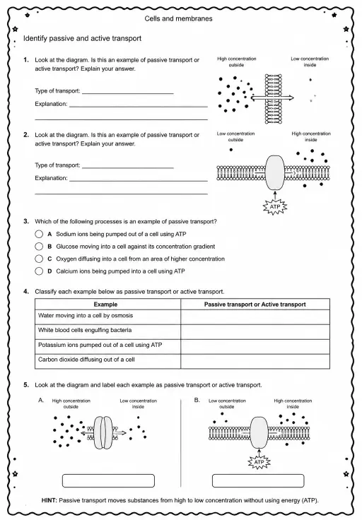 Identify passive and active transport