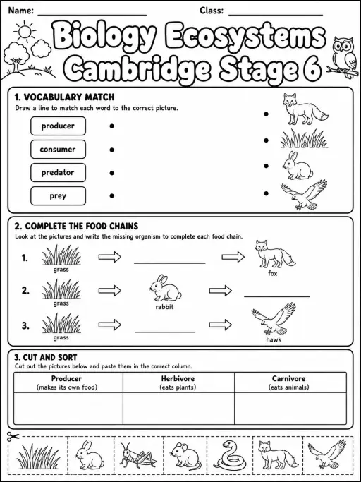 Biology Ecosystems Cambridge Stage 6