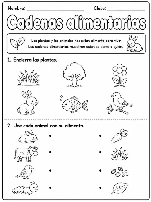 2.º grado - plantas - Paquete de fichas - Conjunto 2