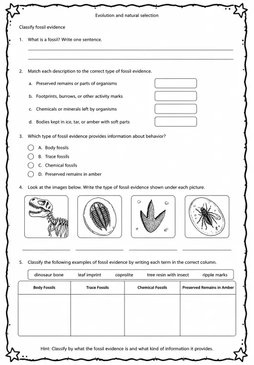 Classify fossil evidence