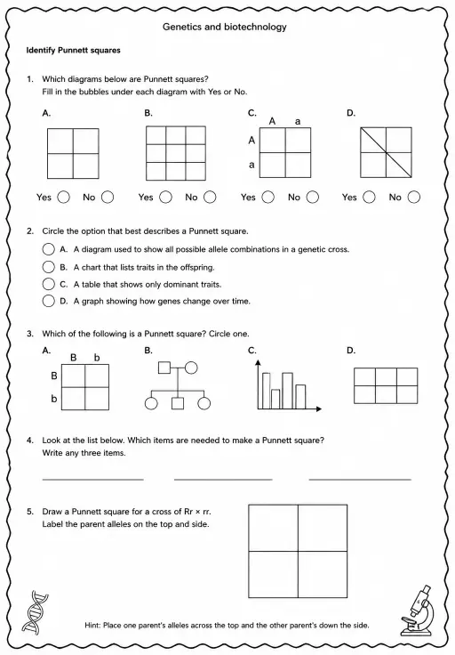 Identify Punnett squares
