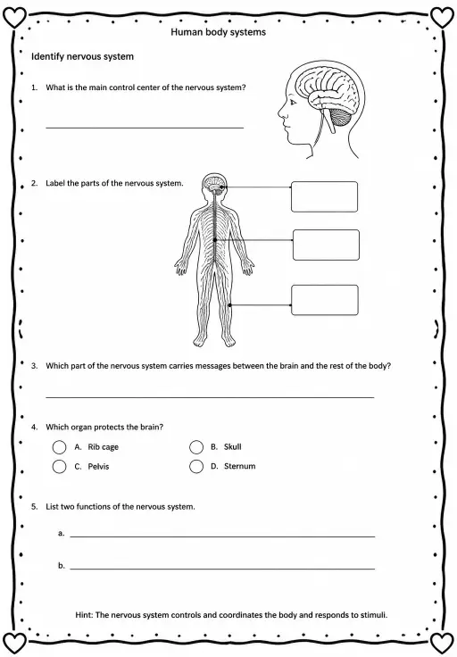 Identify nervous system