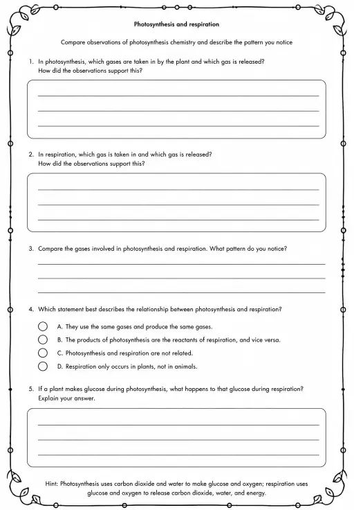 Compare observations of photosynthesis chemistry and describe the pattern you notice