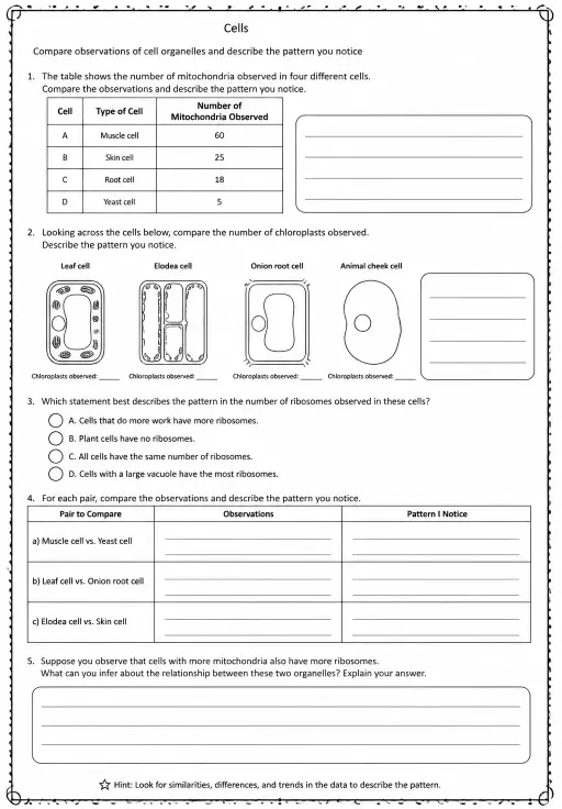 Compare observations of cell organelles and describe the pattern you notice