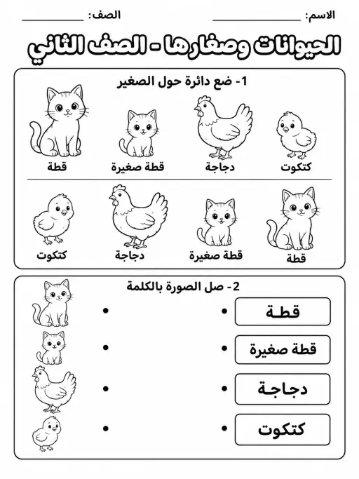 الحيوانات وصغارها - الصف الثاني