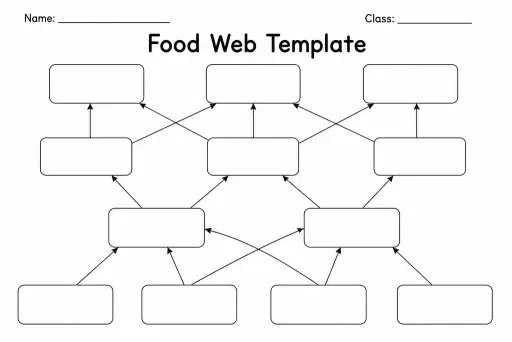 Food Web Template