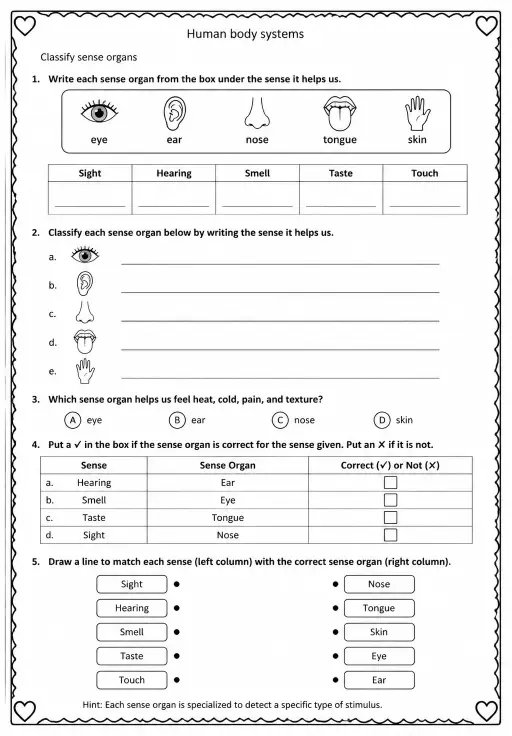 Classify sense organs