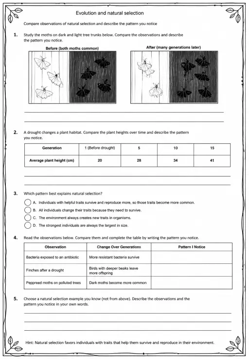 Compare observations of natural selection and describe the pattern you notice