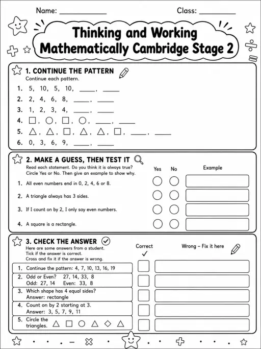 Thinking and Working Mathematically Cambridge Stage 2