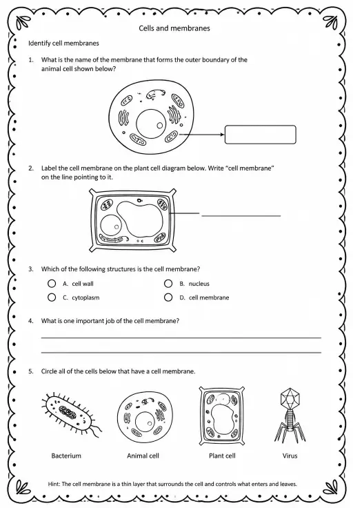 Identify cell membranes