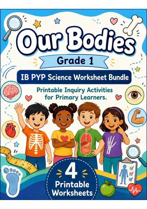 Our Bodies Worksheets | Grade 1 PYP Science