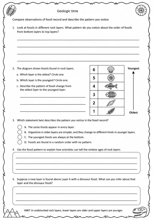 Compare observations of fossil record and describe the pattern you notice