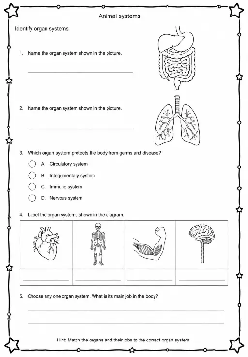 Identify organ systems