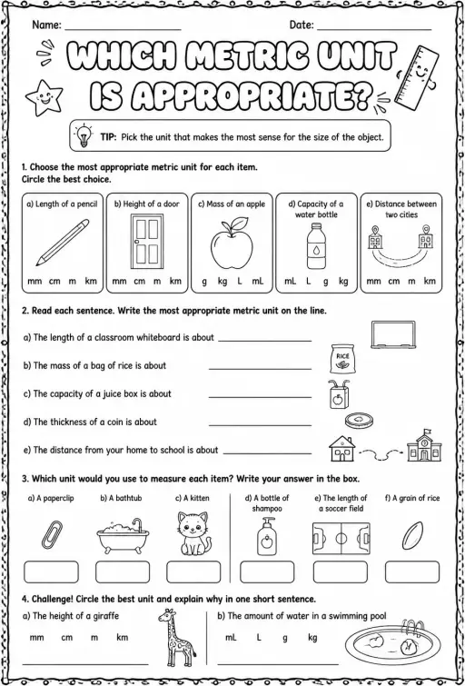 Which metric unit is appropriate?