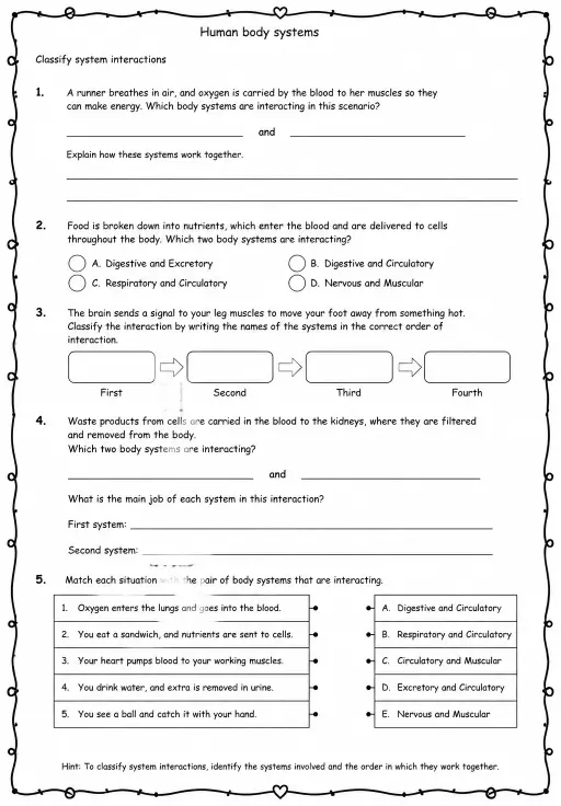 Classify system interactions