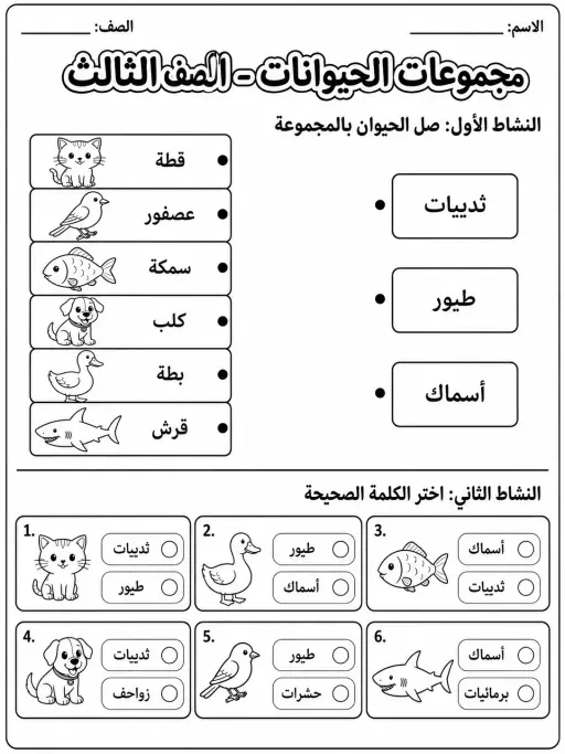 مجموعات الحيوانات - الصف الثالث