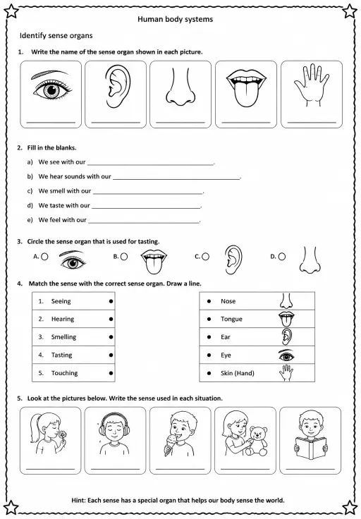 Identify sense organs