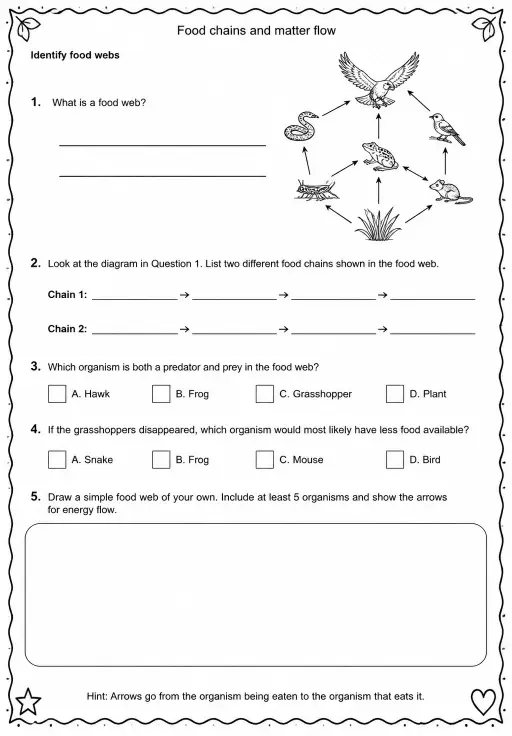 Identify food webs