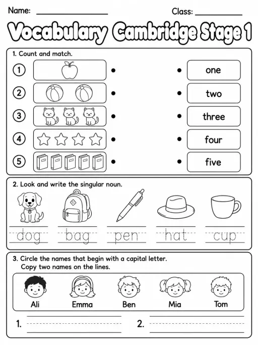 Vocabulary Cambridge Stage 1