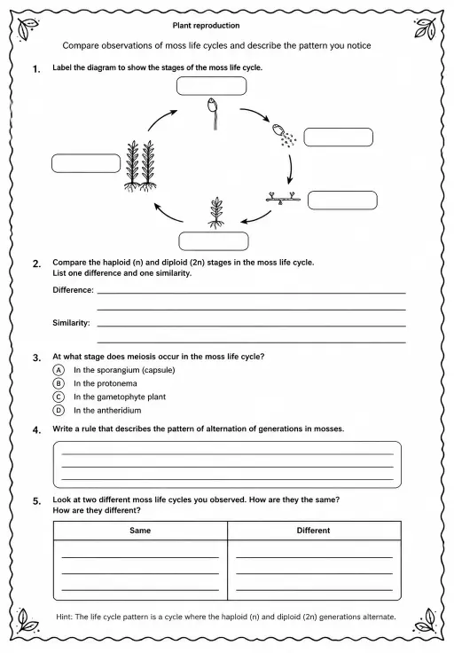 Compare observations of moss life cycles and describe the pattern you notice
