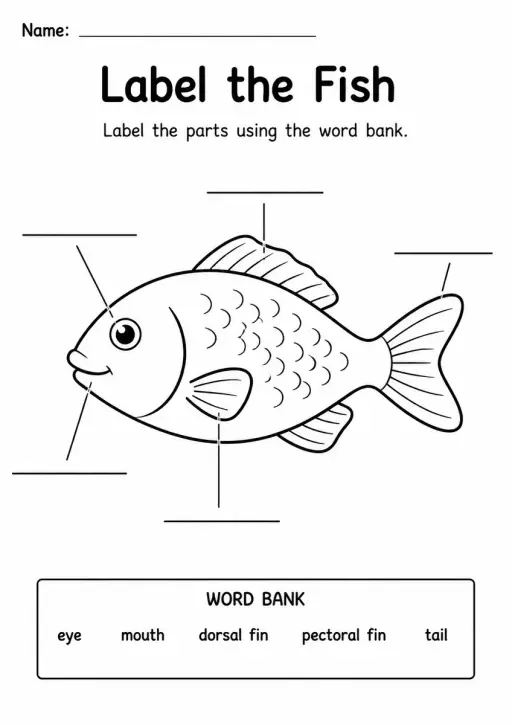 Label the Fish — Grade 1