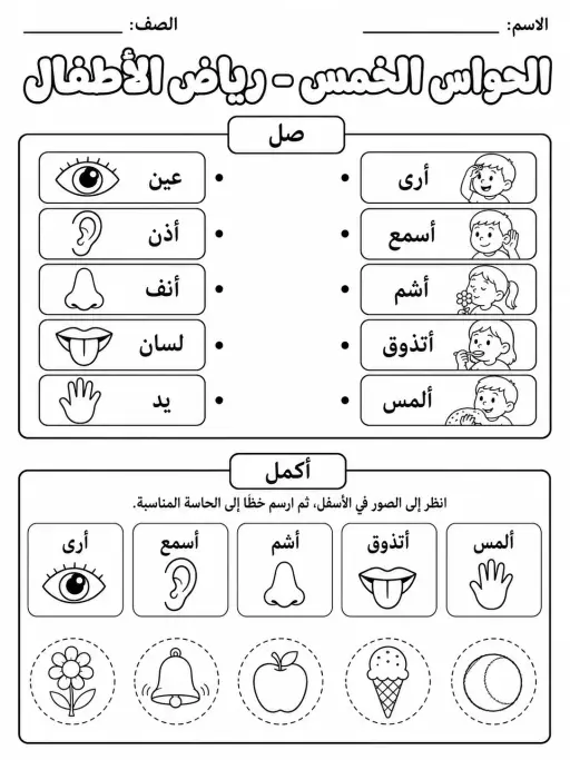 الحواس الخمس - رياض الأطفال