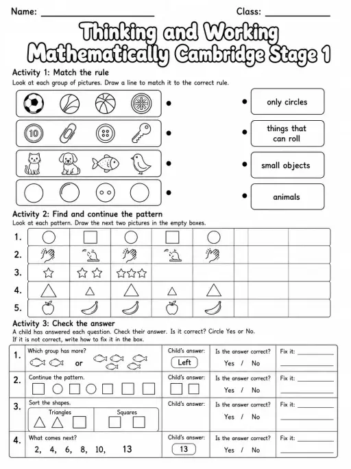 Thinking and Working Mathematically Cambridge Stage 1