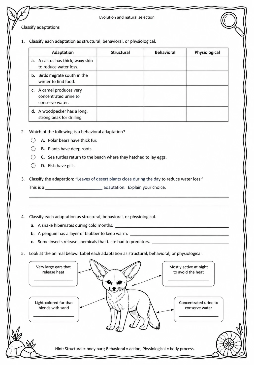 Classify adaptations