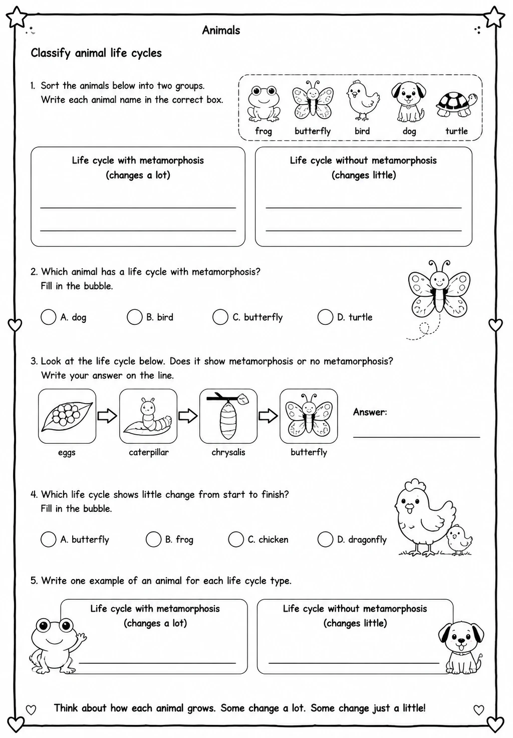 Classify animal life cycles