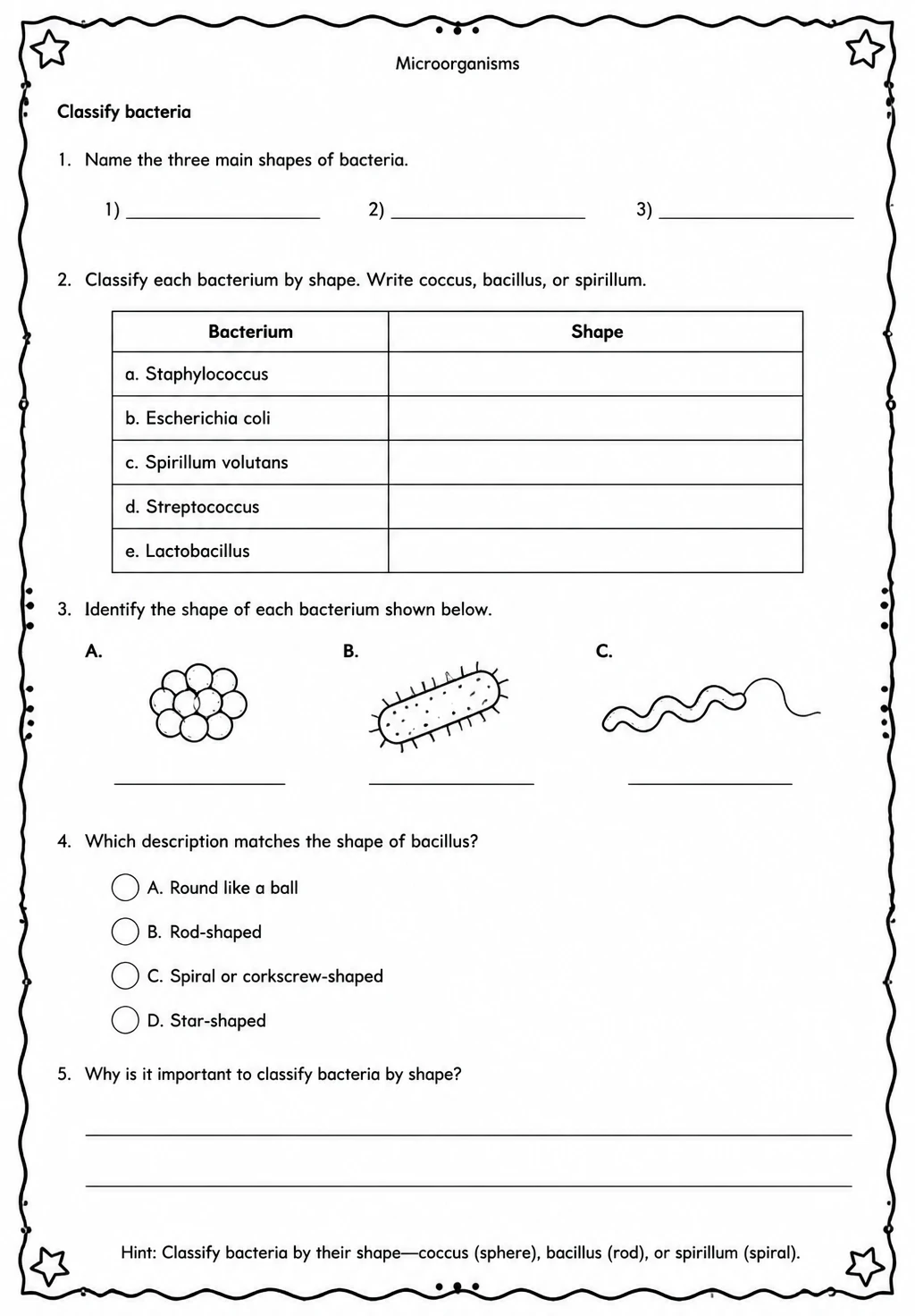 Classify bacteria