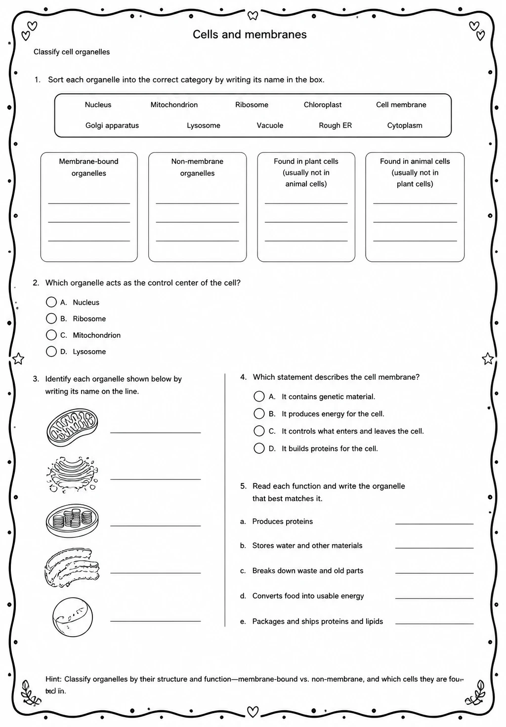 Classify cell organelles