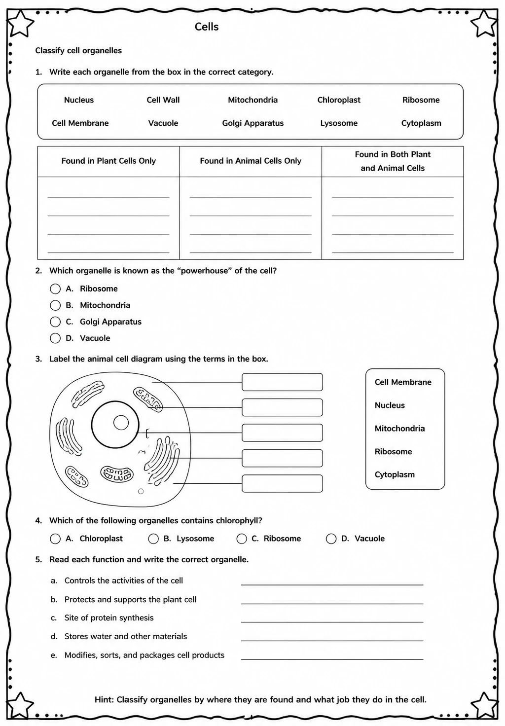 Classify cell organelles